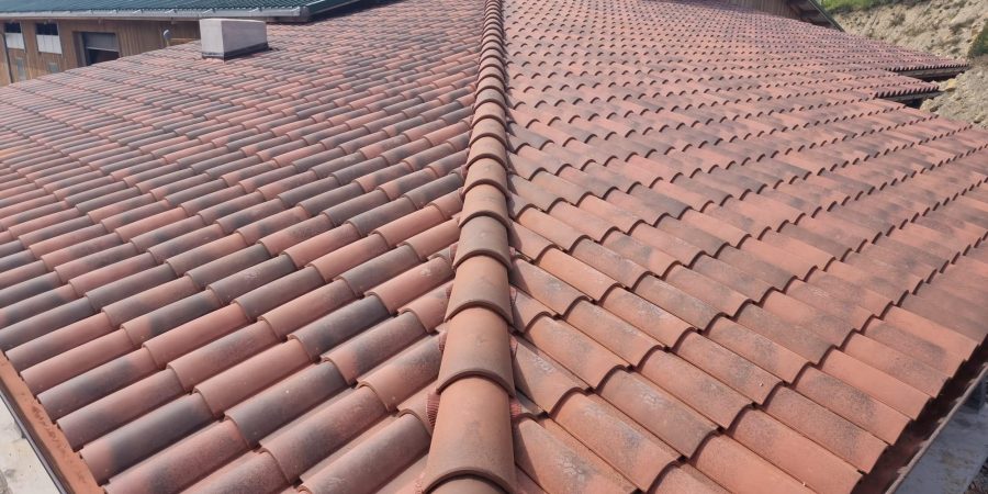 305497690_5567858786637994_645702236032210150_n